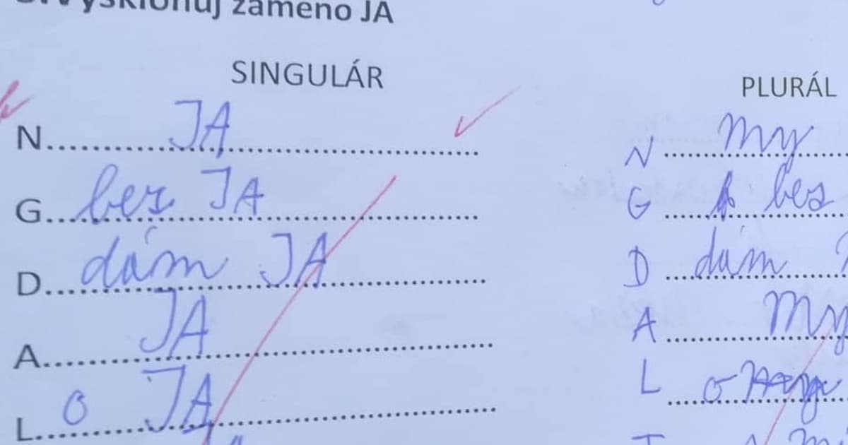 Mala vyskloňovať zámeno JA. Množné číslo jej urobilo trošku problém!