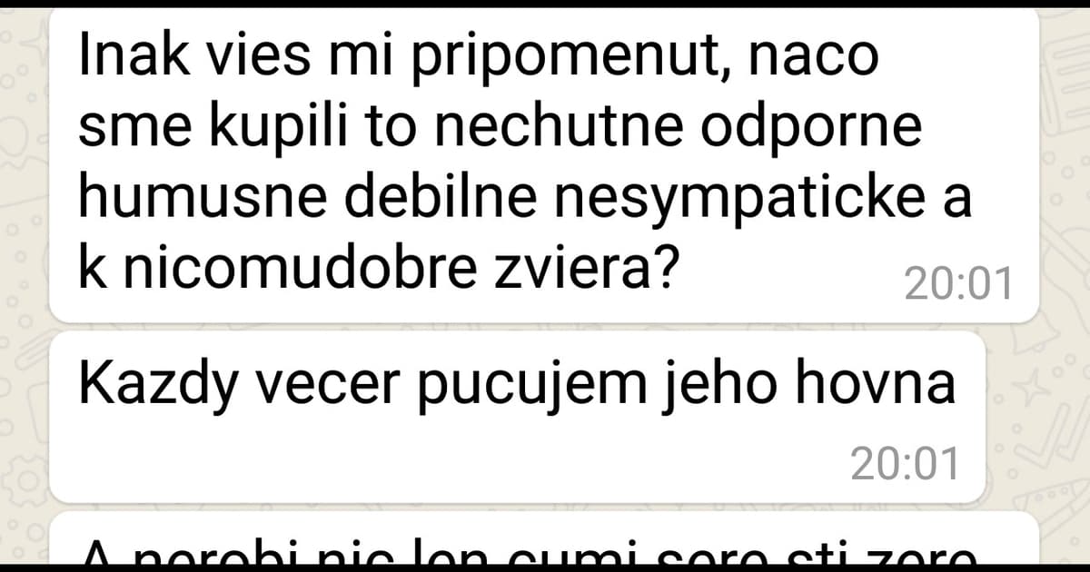 FunSMS: Nechala manžela s deťmi doma. Po šiestich dňoch jej prišla správa