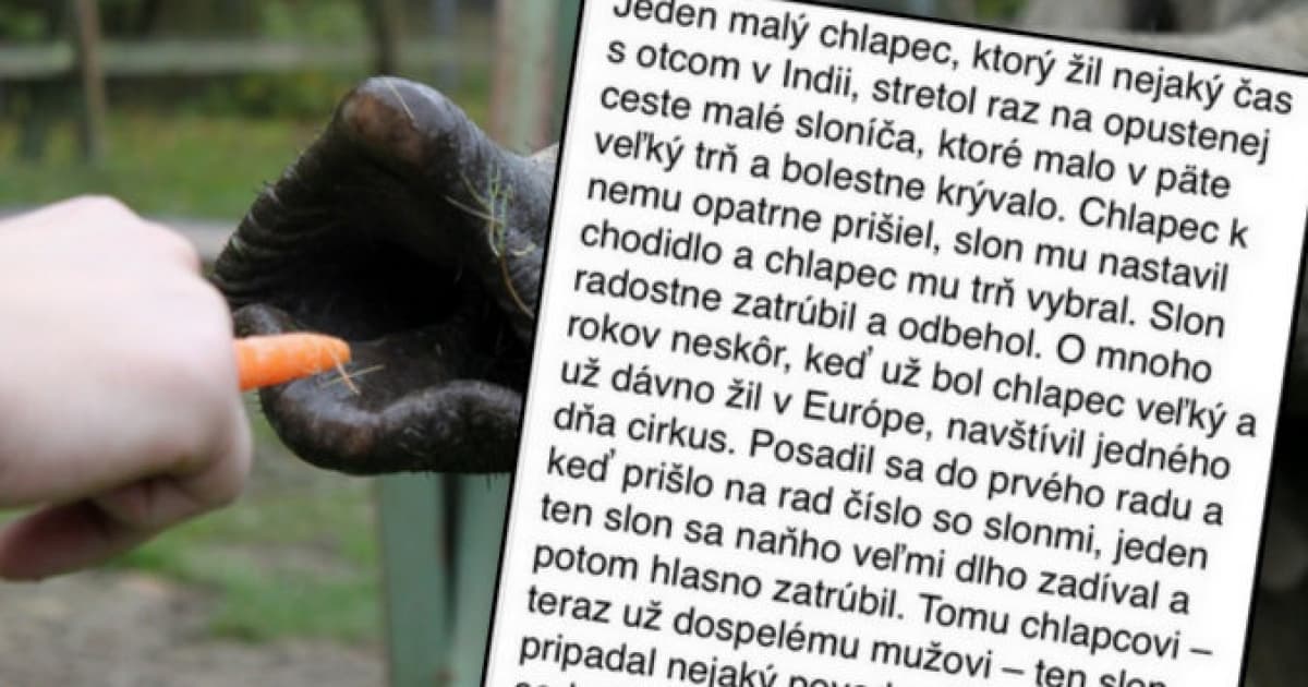 Tento VTIP o chlapcovi a slonovi tak trošku odzrkadľuje dnešnú dobu