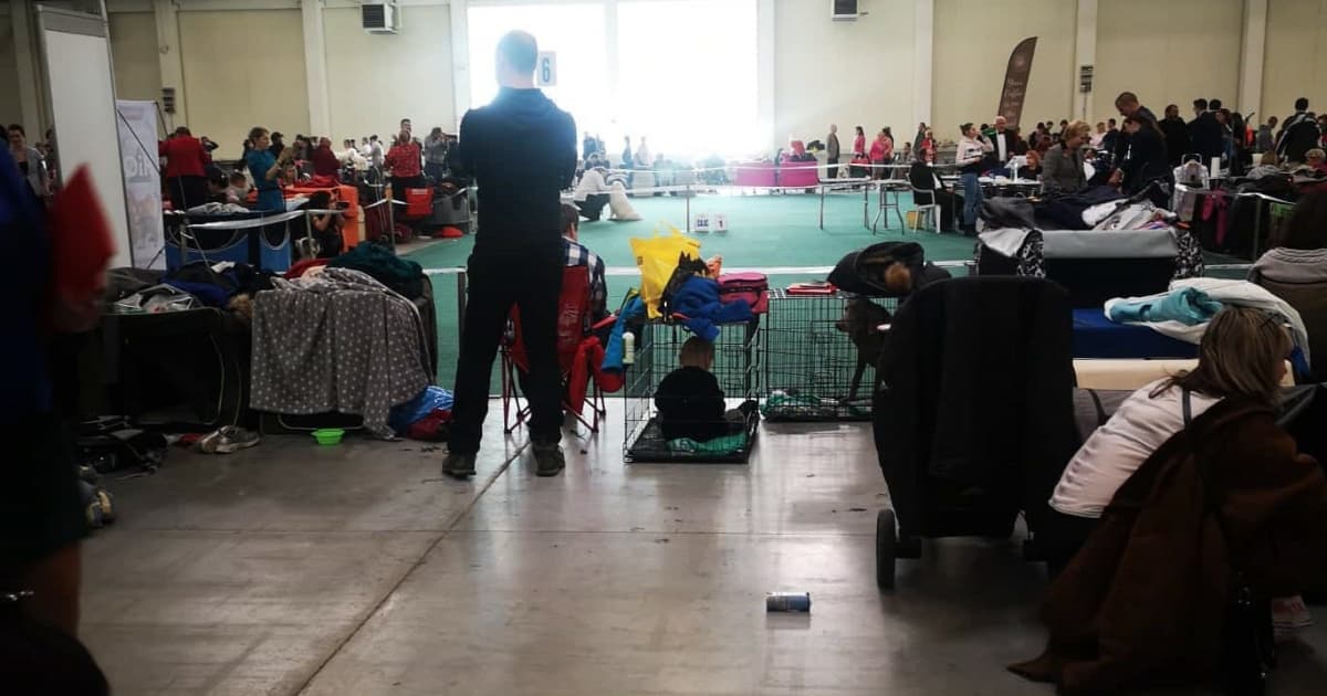 Mária bola na výstave psov v Bratislave. V tom si všimla jeden zaujímavý detail!