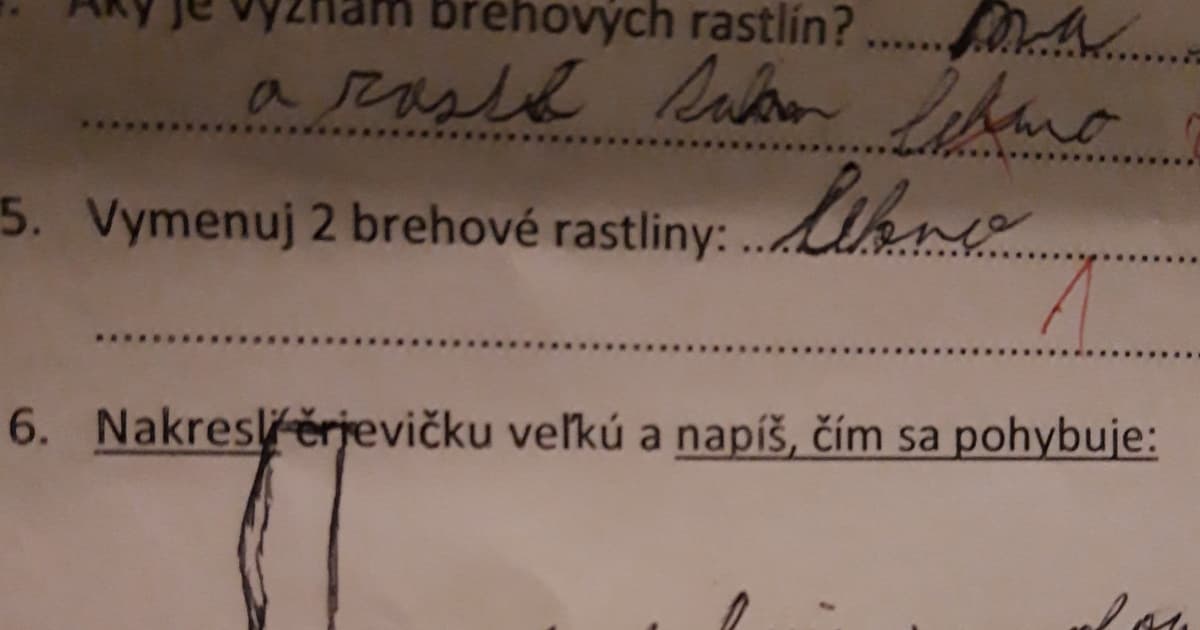 Na písomke z biológie mala nakresliť jednobunkovca – črievičku veľkú. Čo z nej asi bude?