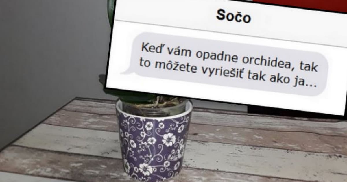 Poslucháčke opadla orchidea, tak dostala skvelý nápad