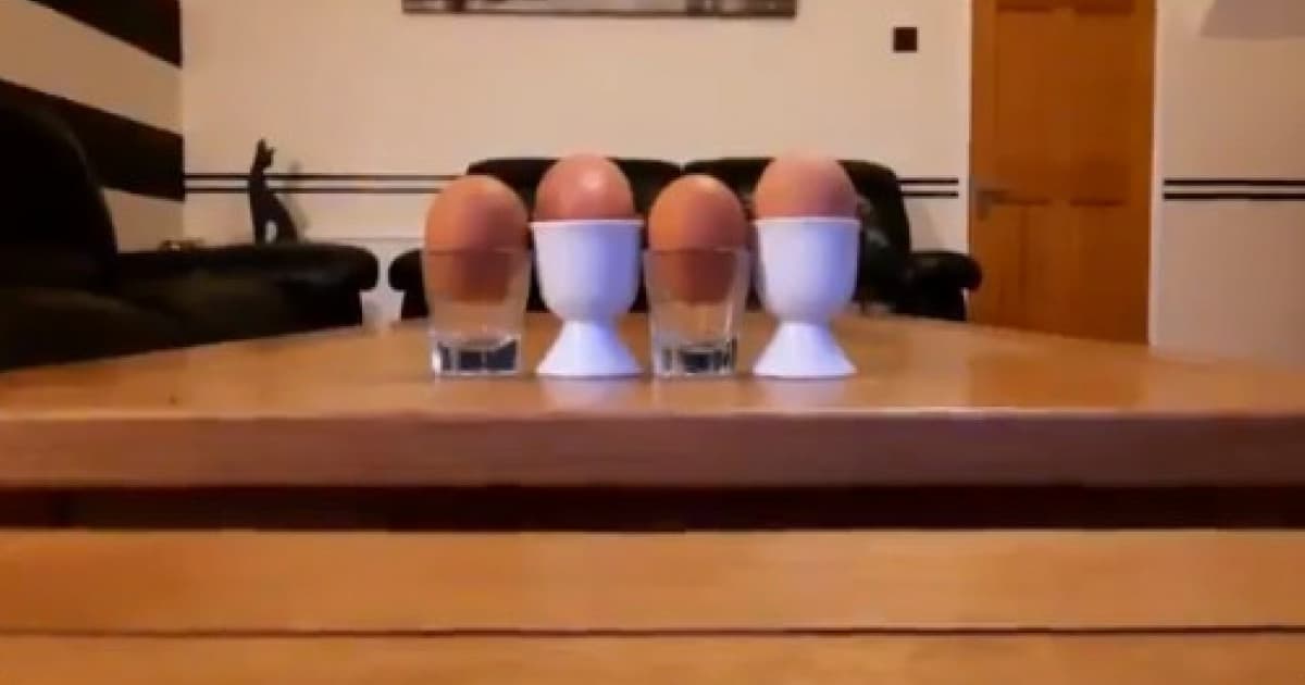 Otec mu poslal toto video. Myslel si, že vidí 4 vajíčka, nakoniec sa nevedel prestať smiať