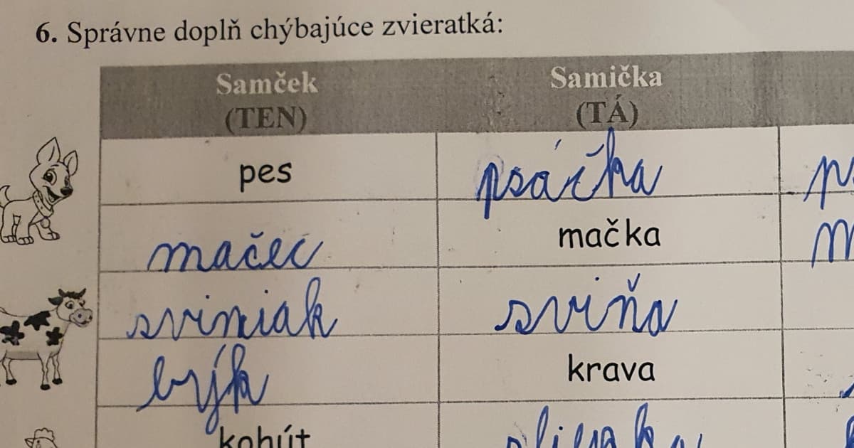 Samec mačky? Mláďa kravy? Takýto test doma riešil malý Matúš