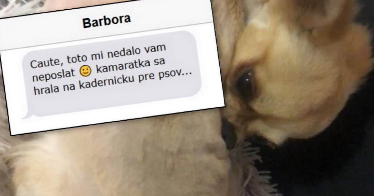 Rozhodla sa v karanténe ostrihať svojho psa. Ten výsledok ani nechceš vidieť!
