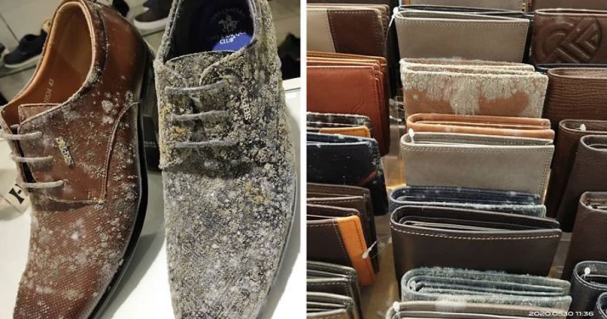 Po 53 dňoch karantény znovu otvorili predajňu obuvi. Keď uvideli, čo sa stalo s topánkami, zostali v šoku!
