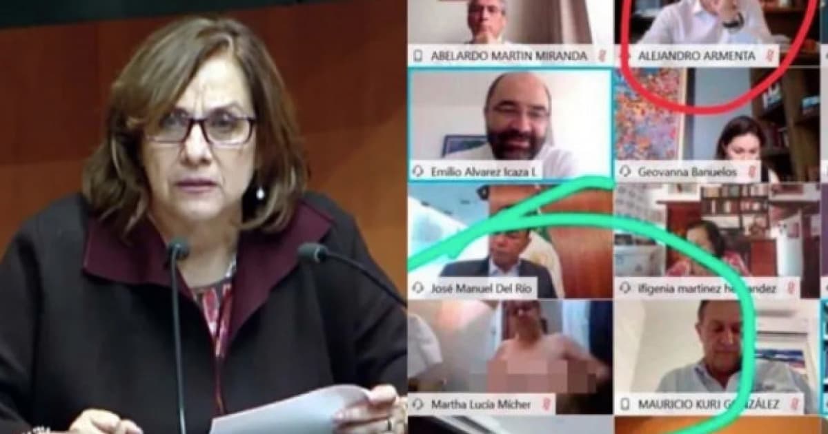 66-ročná senátorka bola počas vládneho konferenčného hovoru nahá. Mylne si myslela, že kamera je vypnutá