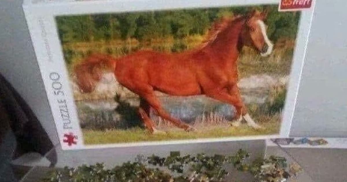Laci sa chce pochváliť, konečne ich poskladal!