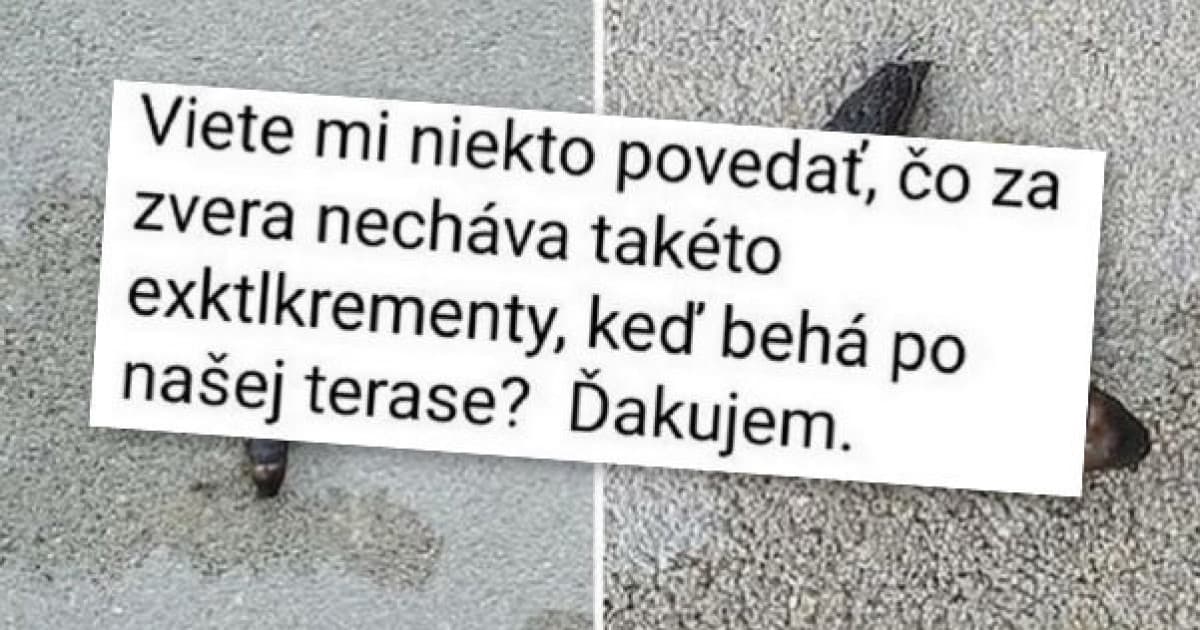 Sťažovala sa na exkrementy na chodníku. Prvý komentár jej to však vysvetlil
