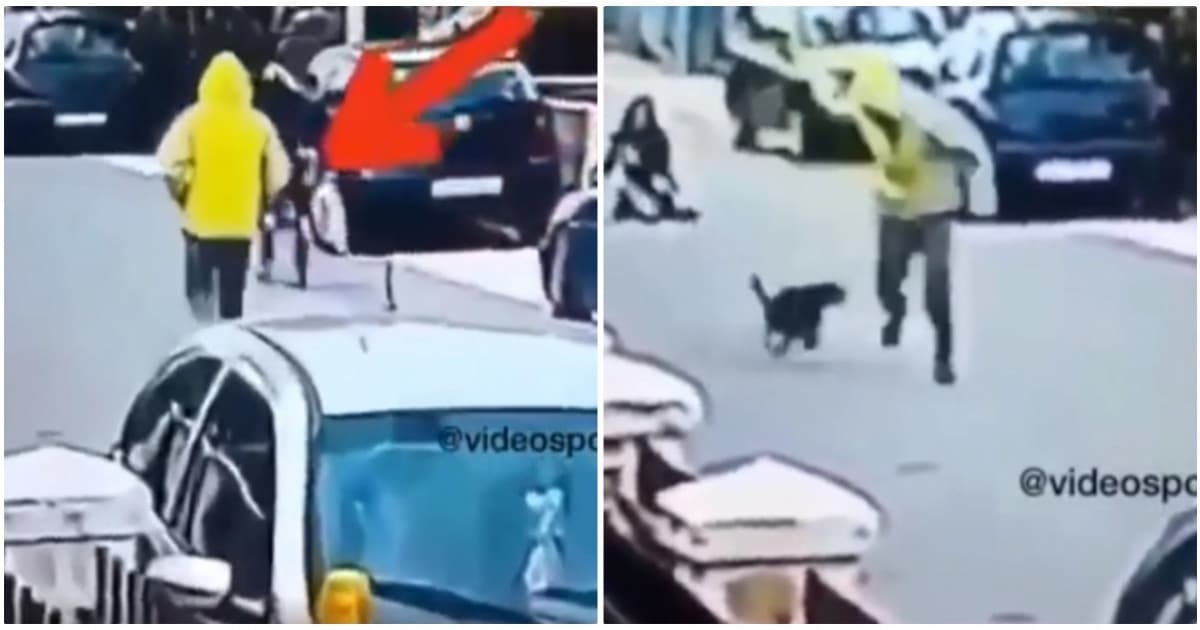 Ženu chcel na ulici napadnúť zlodej, ochránil ju túlavý pes. Tento nezvyčajný moment zachytila bezpečnostná kamera