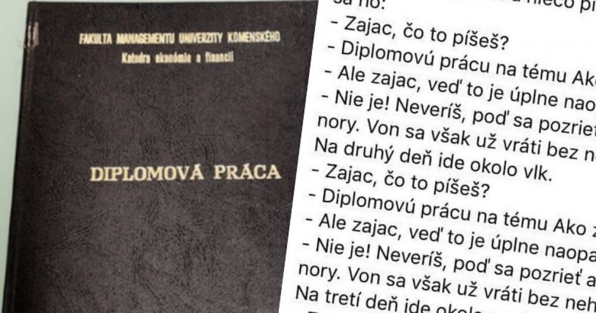 Jeden aktuálny o zajacovi, ktorý píše diplomovú prácu