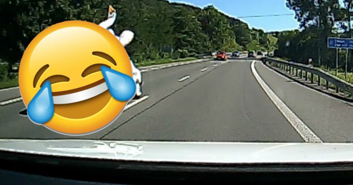 Nevídaný pohľad na slovenských cestách. Keď to zbadala, skoro nabúrala!