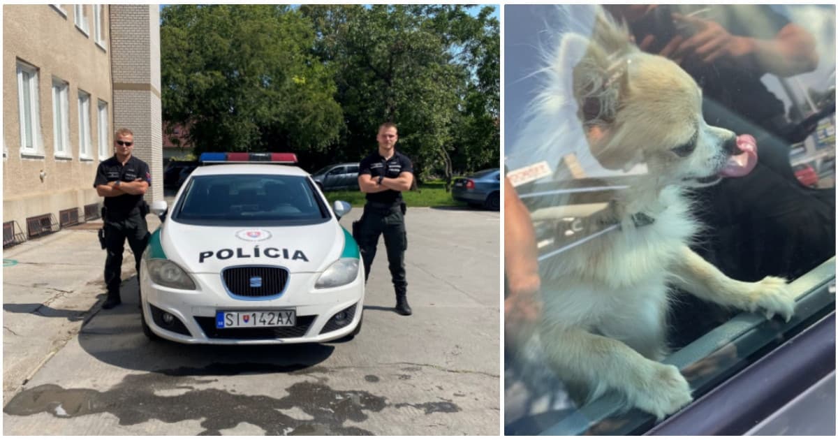 Skalickí policajti zachránili čivavu, zamknutú v rozhorúčenom aute. Majiteľ bol v nákupnom centre