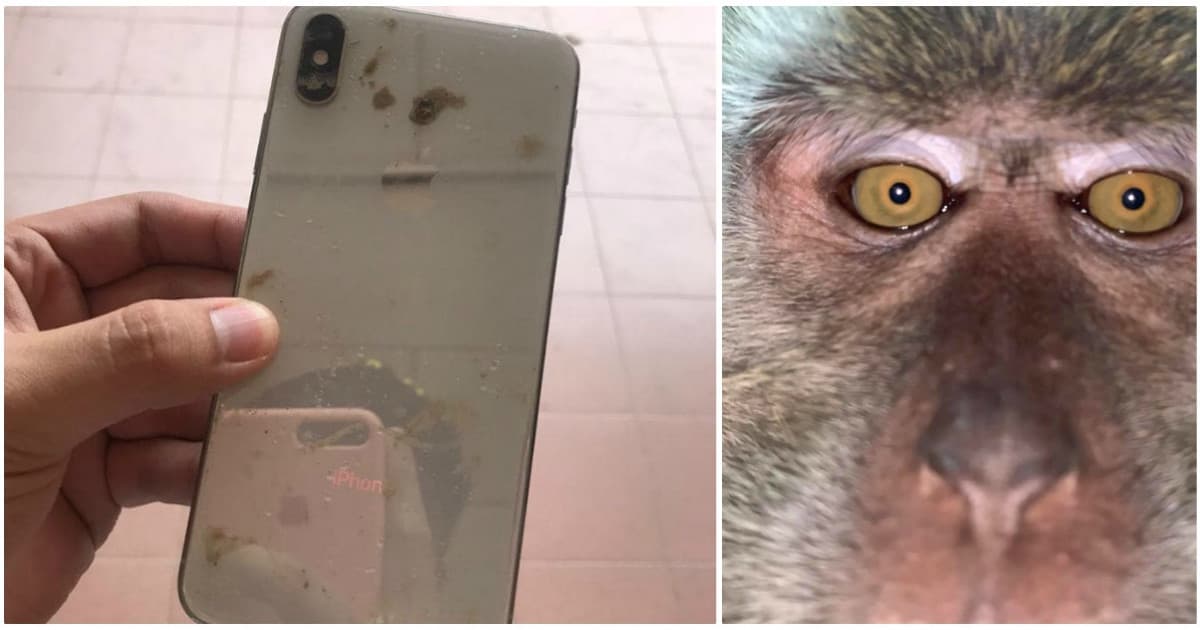Ukradli mu mobil. Keď ho znovu našiel a uvidel fotky v galérii, odhalil bizarného zlodeja