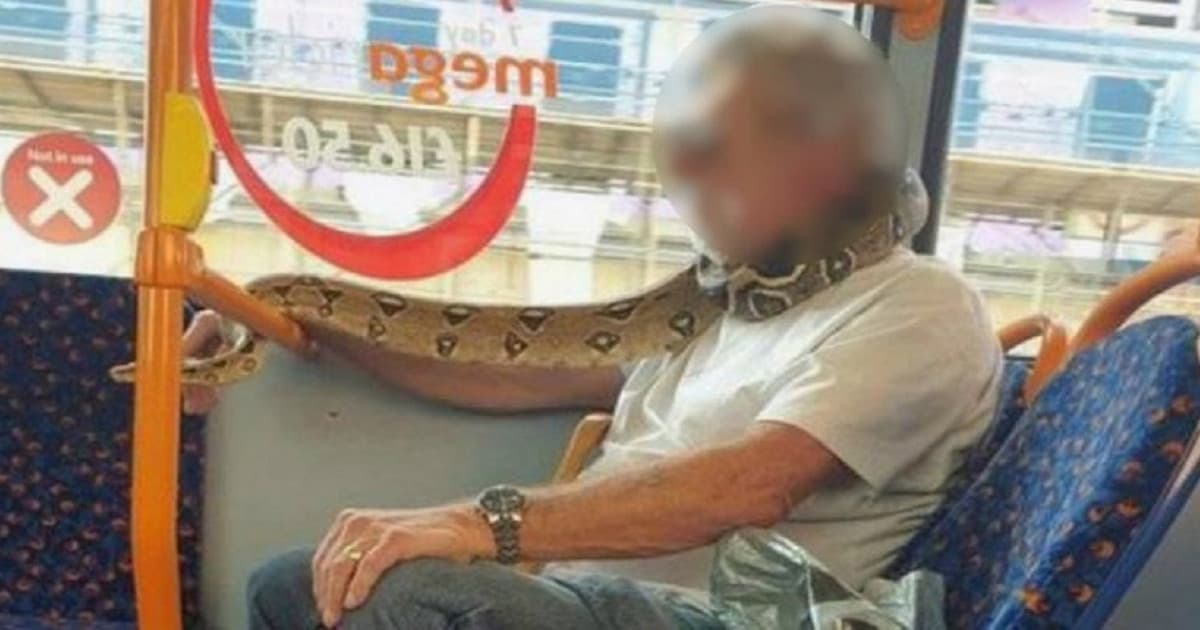 Chlapík, cestujúci v autobuse, si namiesto rúška obmotal okolo nosa a úst živého hada!