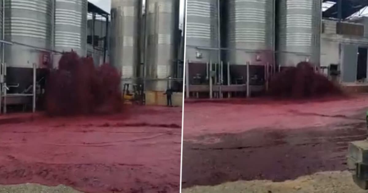 Toto zabolí každého milovníka vína. V španielskom meste sa ulicami valilo 50 000 litrov červeného vína!