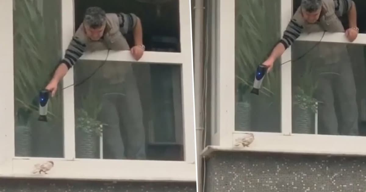 Za oknom si všimol chvejúceho sa holuba. Jeho originálny nápad, ktorým ho zahrial, ovládol internet