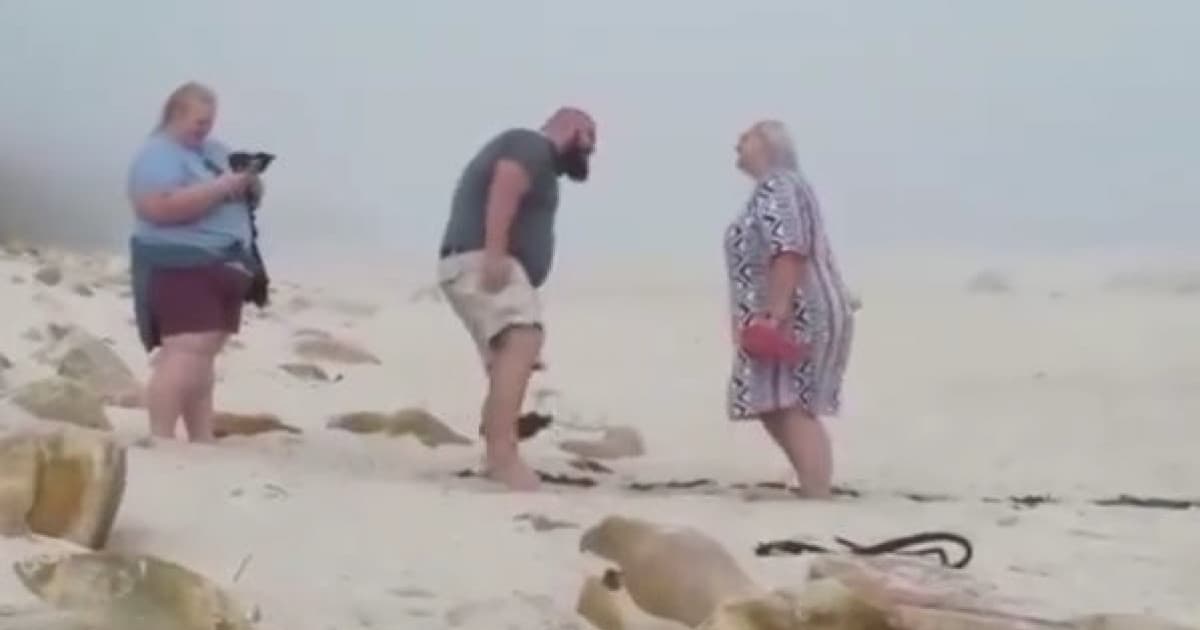 VIDEO: A cenu najlepší svadobný fotograf získava... NIČ LEPŠIE DNES NEUVIDÍŠ!