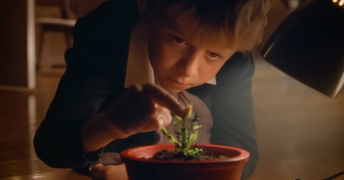 Najočakávanejšia vianočná reklama roka je tu! John Lewis a jeho dokonalý vianočný stromček